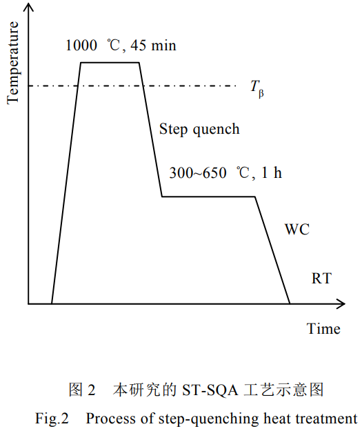 1768822508611497.png 2.png