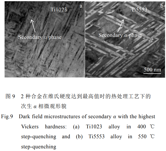 1768822597955749.png 9.png