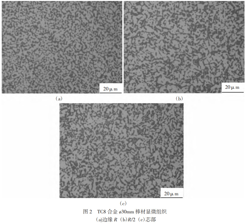 1773197494924152.jpg 2.jpg