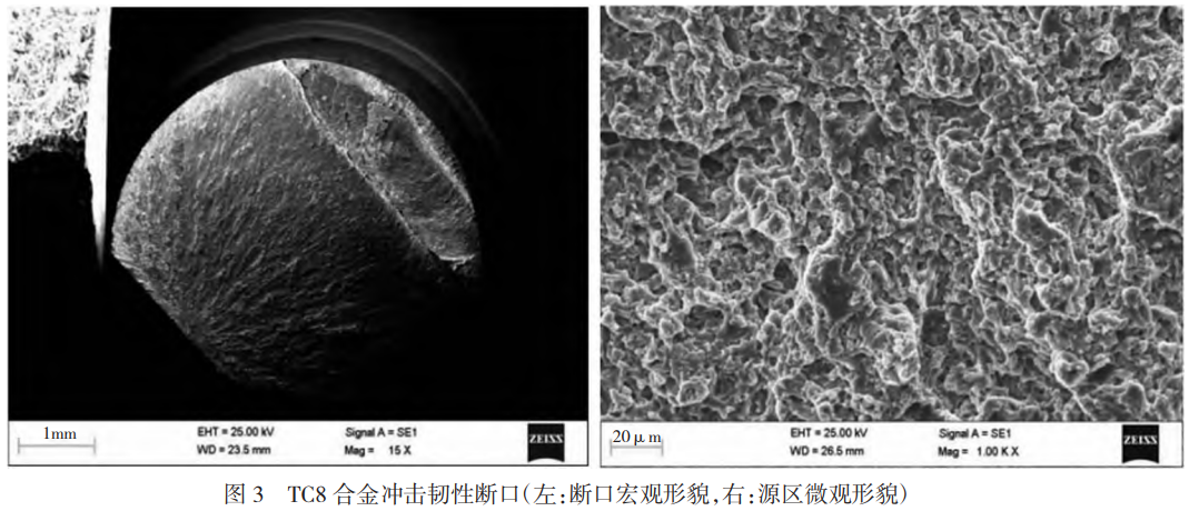 1773197525565125.png 3.png