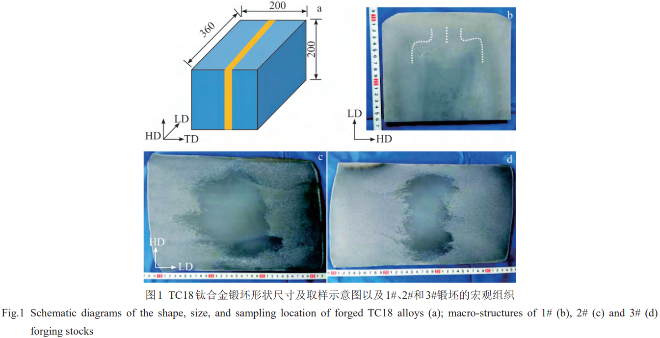 1773284650235421.png 1.png