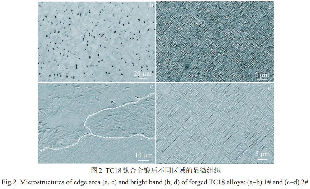 1773284744131619.png 2.png