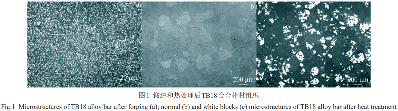 1773307386664114.png 1.png